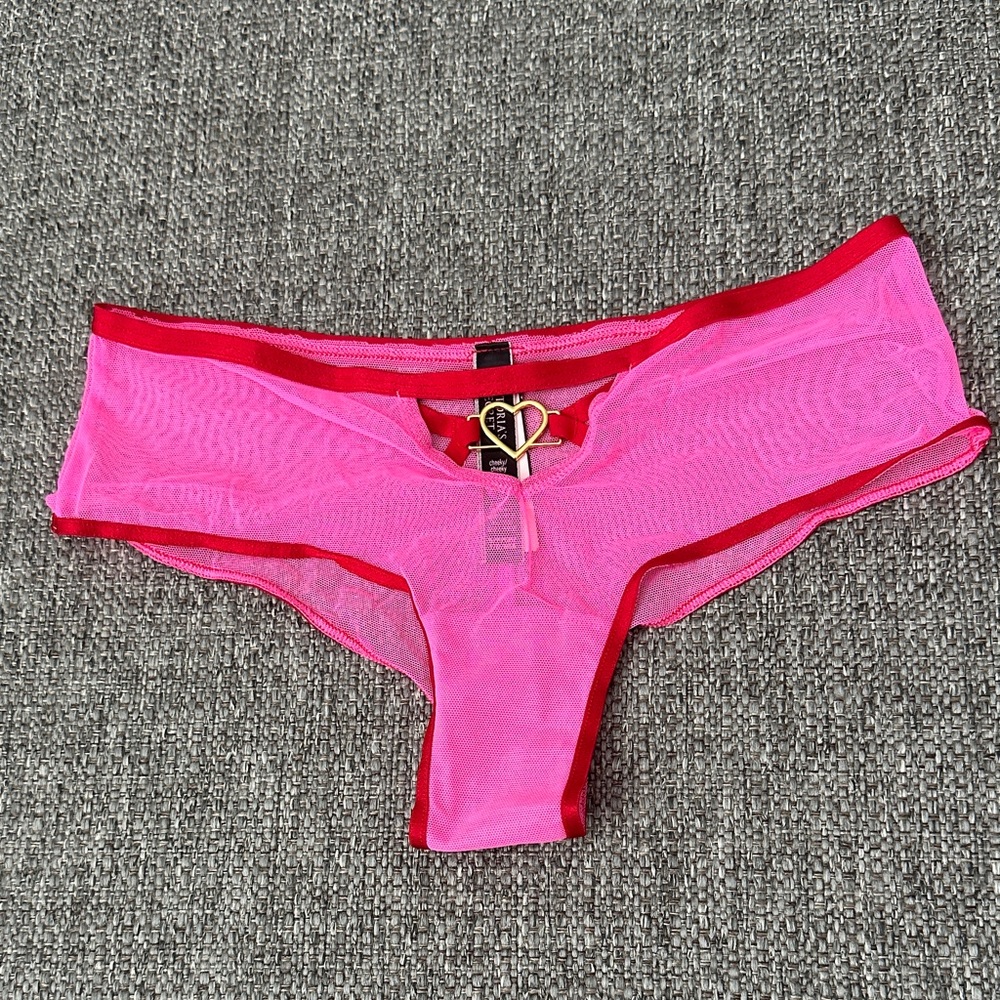 Victoria’s Secret Pink Mesh Cheeky Panty with Contrast Trim